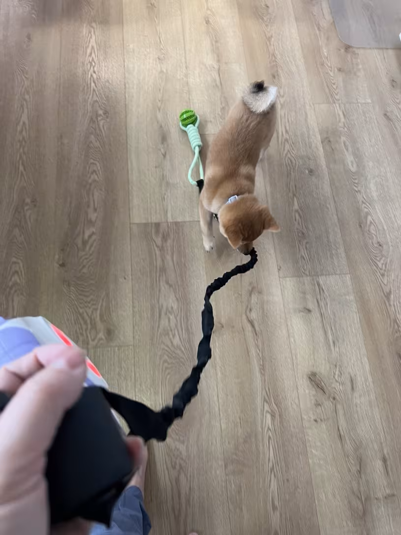Customer review