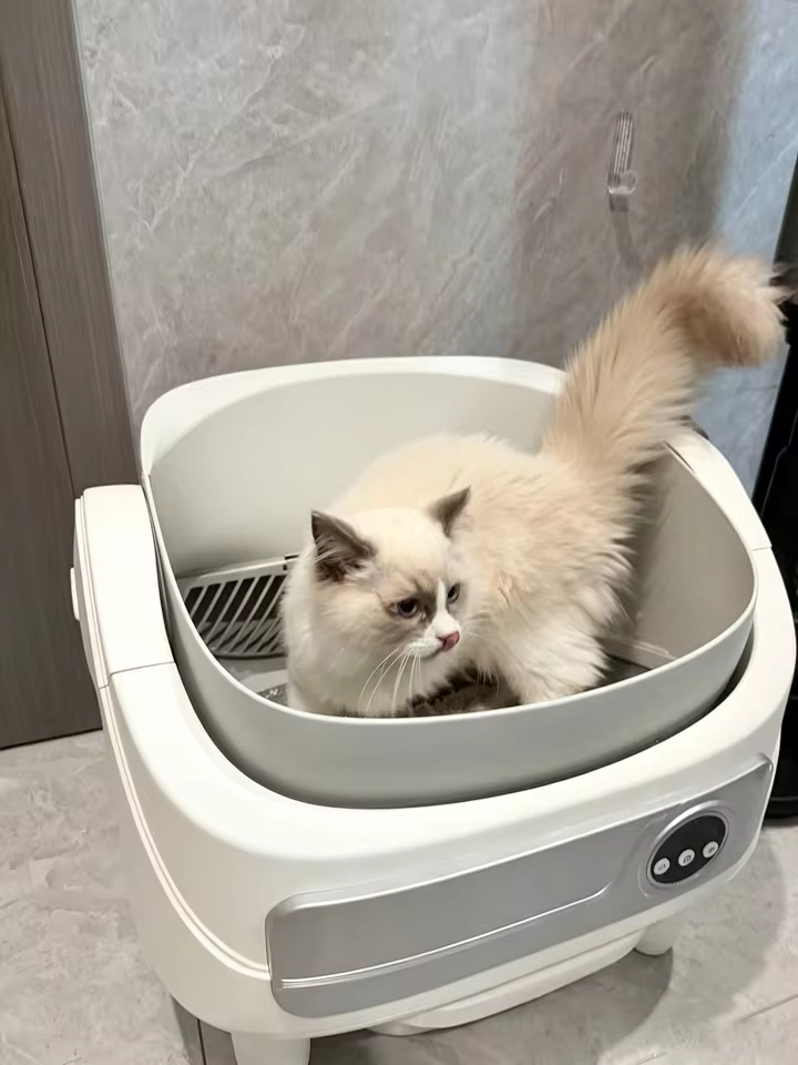 Customer review